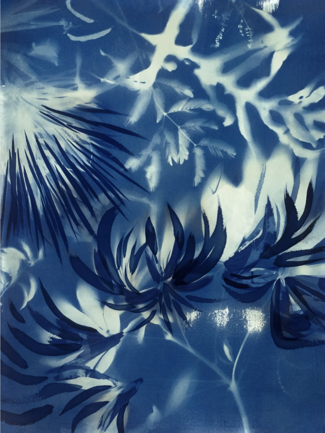 Abstract blue cyanotype with overlapping leaves and organic forms