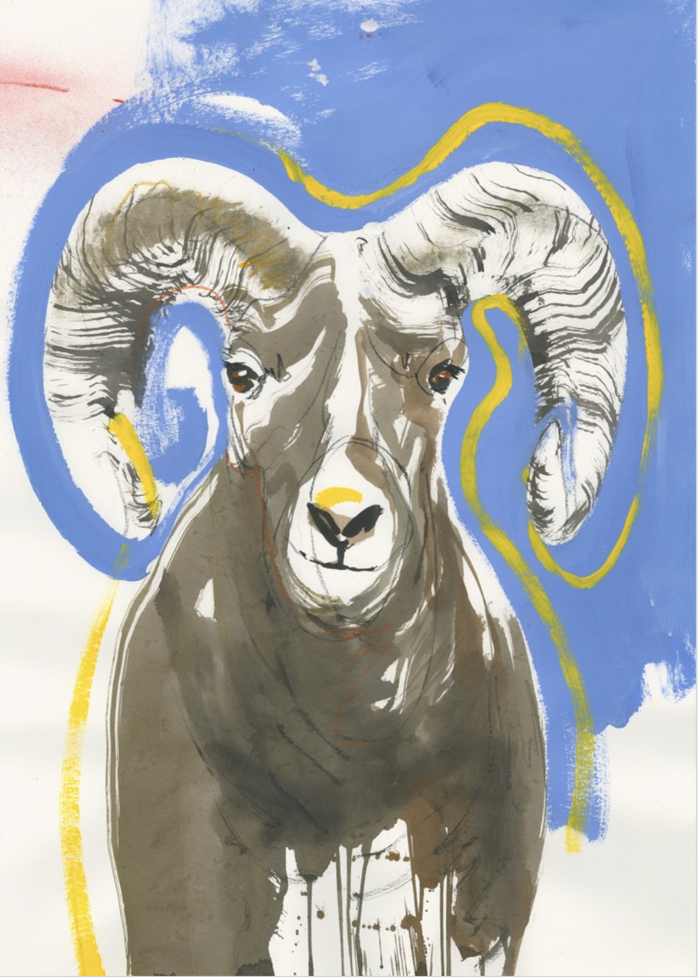 Expressive painting of a bighorn sheep with bold blue and yellow gestural lines