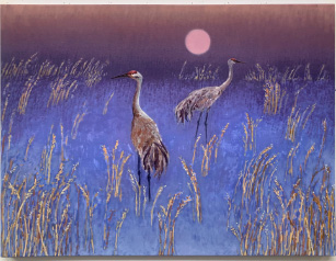 Pair of cranes in blue-toned marsh with warm sky backdrop