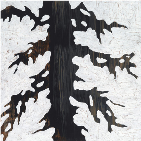 Textured abstract tree bark pattern with white organic shapes