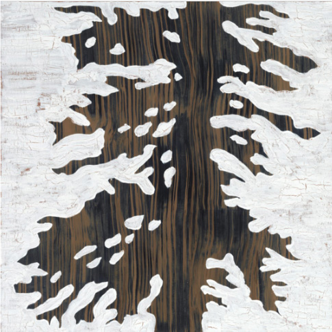 Symmetrical tree bark composition with white layered textures