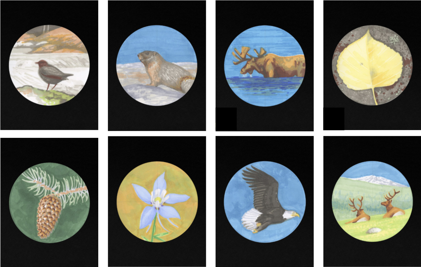 Series of circular paintings depicting wildlife and plants on black background