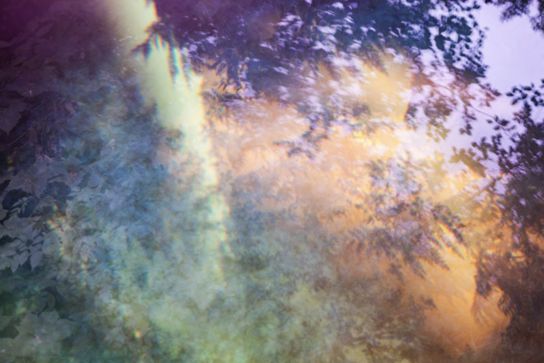 Dreamlike forest canopy with soft-focus leaves and rainbow light leaks