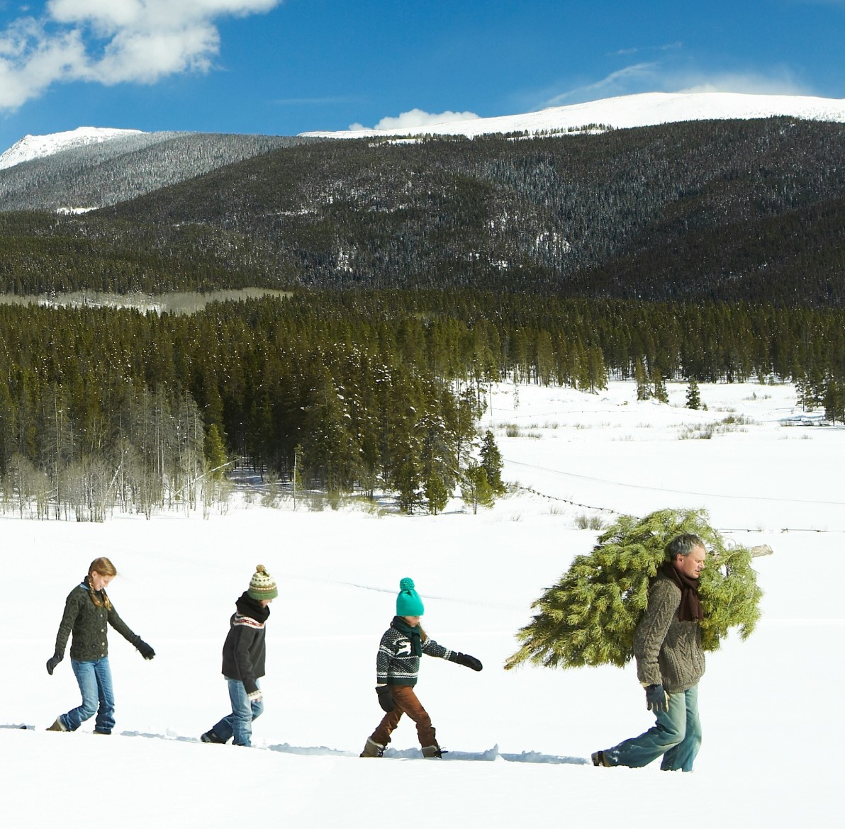 Family carrying christmas tree through the mountains Kindred Resort Keystone